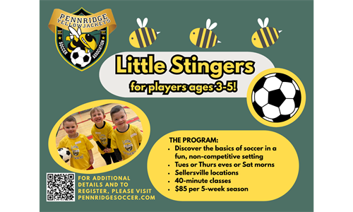 Winter 2026 Little Stingers!